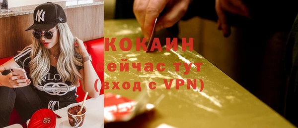 твердый Аркадак