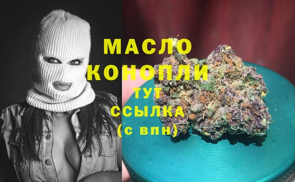 молекула духа Арсеньев