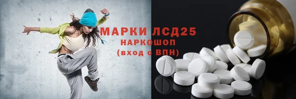 молекула духа Арсеньев