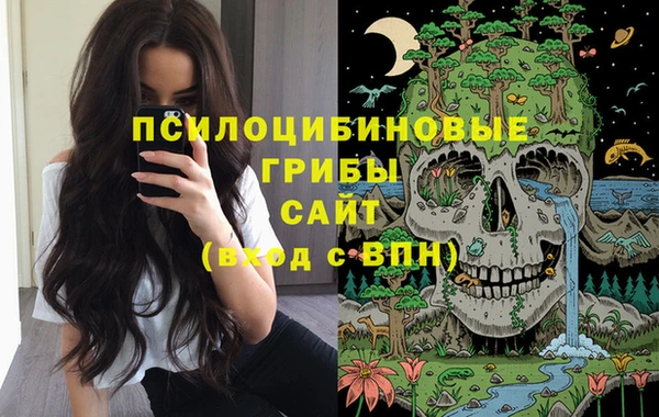 твердый Аркадак