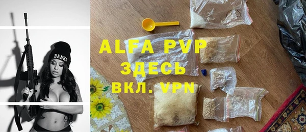 молекула духа Арсеньев