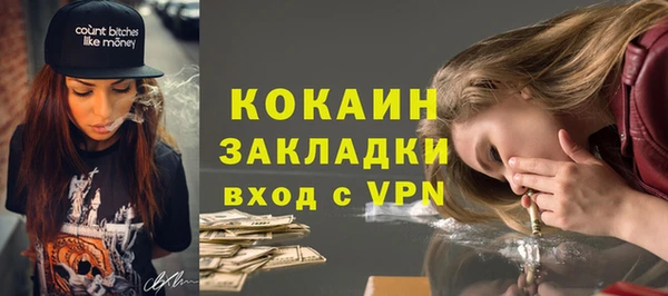 молекула духа Арсеньев