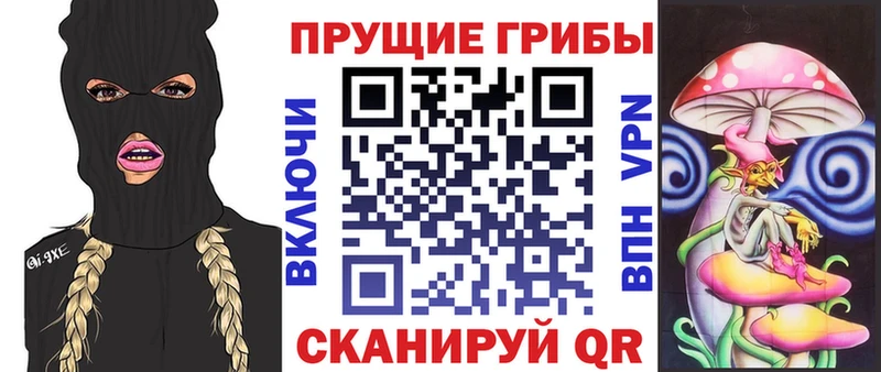 закладка МЕГА tor Псилоцибиновые грибы прущие грибы Коряжма