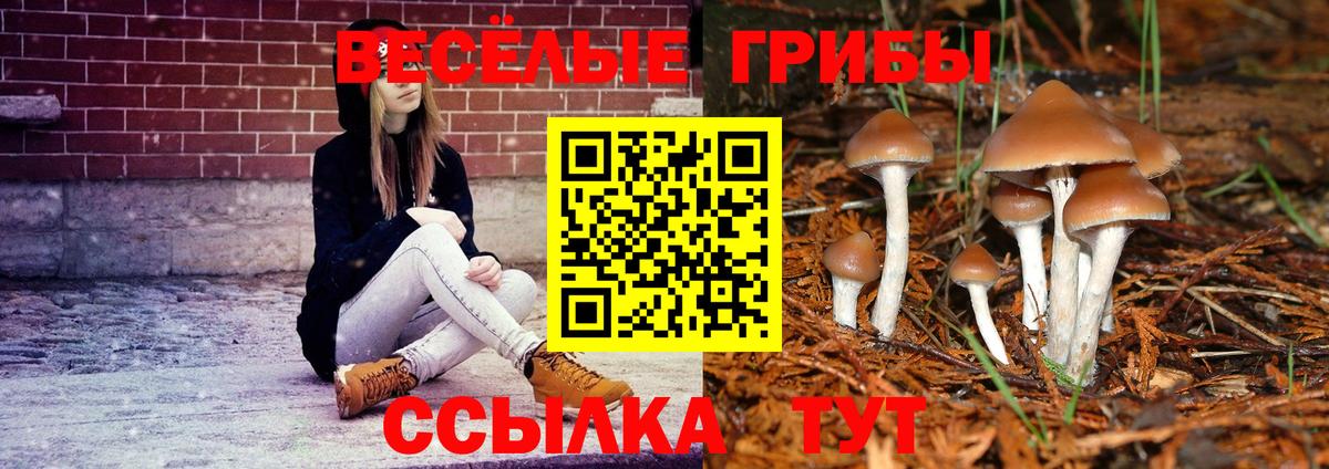 Псилоцибиновые грибы ЛСД Коряжма