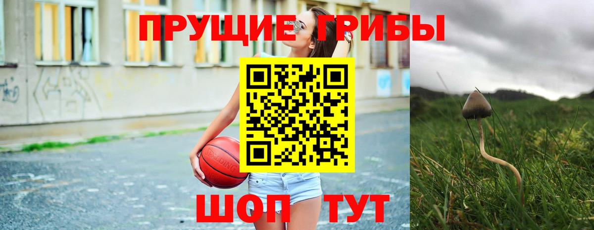 Коряжма  Галлюциногенные грибы Psilocybe  Вход с VPN 